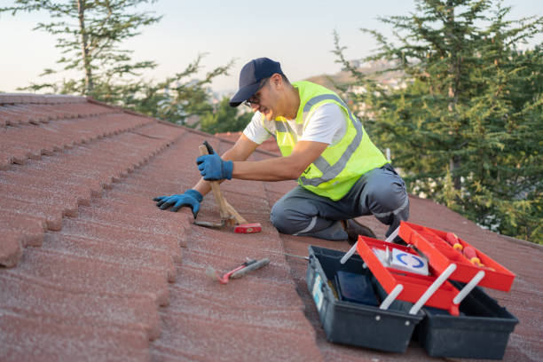 Best Metal Roofing Contractor  in Vineyards, FL