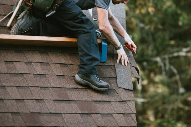 Best Gutter Installation and Roofing  in Vineyards, FL